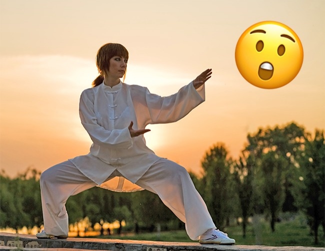 Entraînement au kung-fu