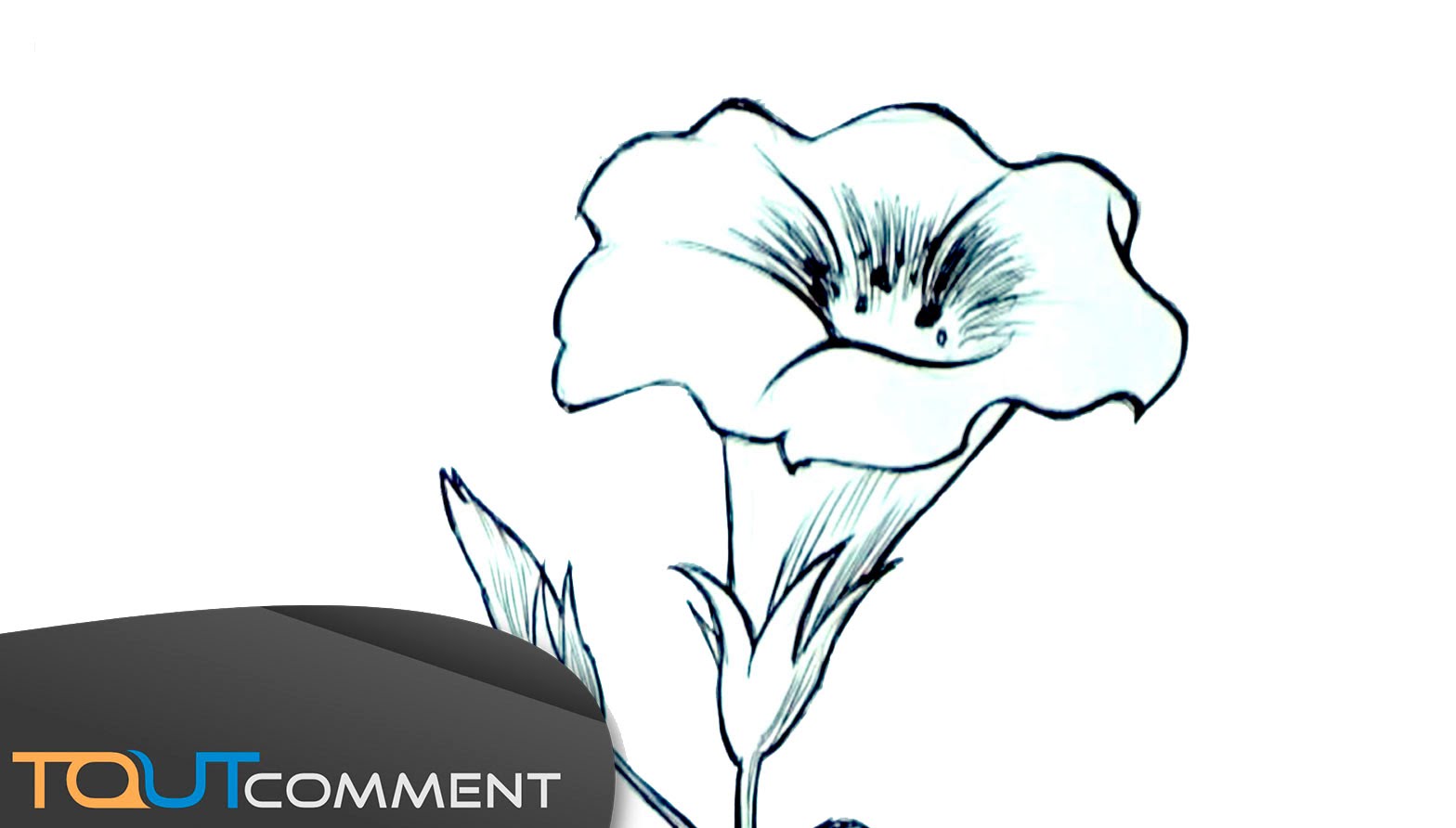 Comment dessiner une fleur simple ? - Flashmode Magazine | Magazine de ...