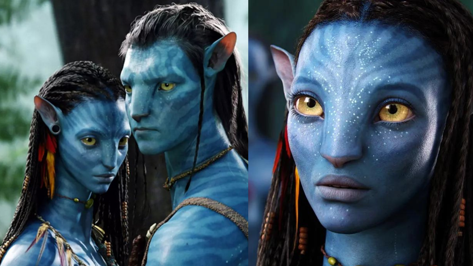 Distribution De Avatar 2 : Quels Acteurs Brillants Ont Été Choisis pour la Suite Épique?