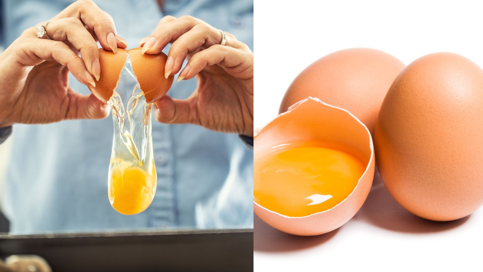Péremption des œufs : Comment savoir s'ils sont encore bons à consommer ?