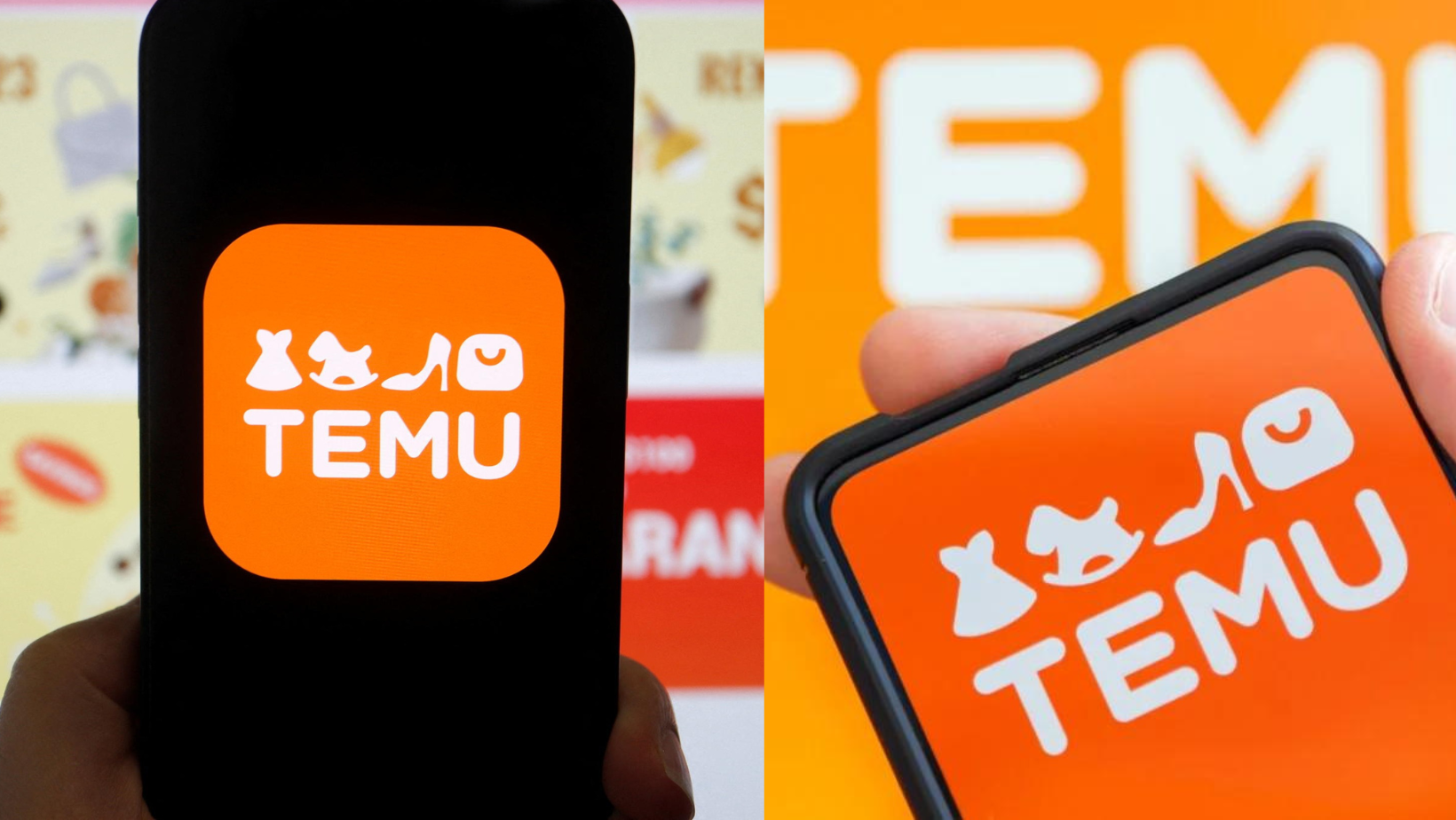 Temu Avis : Est-ce que Temu est le meilleur choix pour les consommateurs français ?