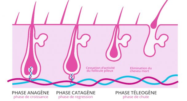 Poil incarné : Comment se débarrasser de ce problème gênant (Causes et ...