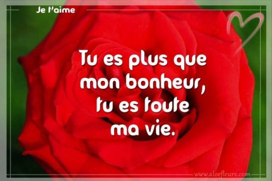 Saint-Valentin : Collection de Messages Romantiques pour une joyeuse